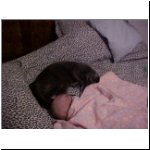 02-12-29_02__VB2 + Kitty.jpg